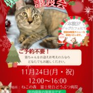 ねこの森保護猫譲渡会