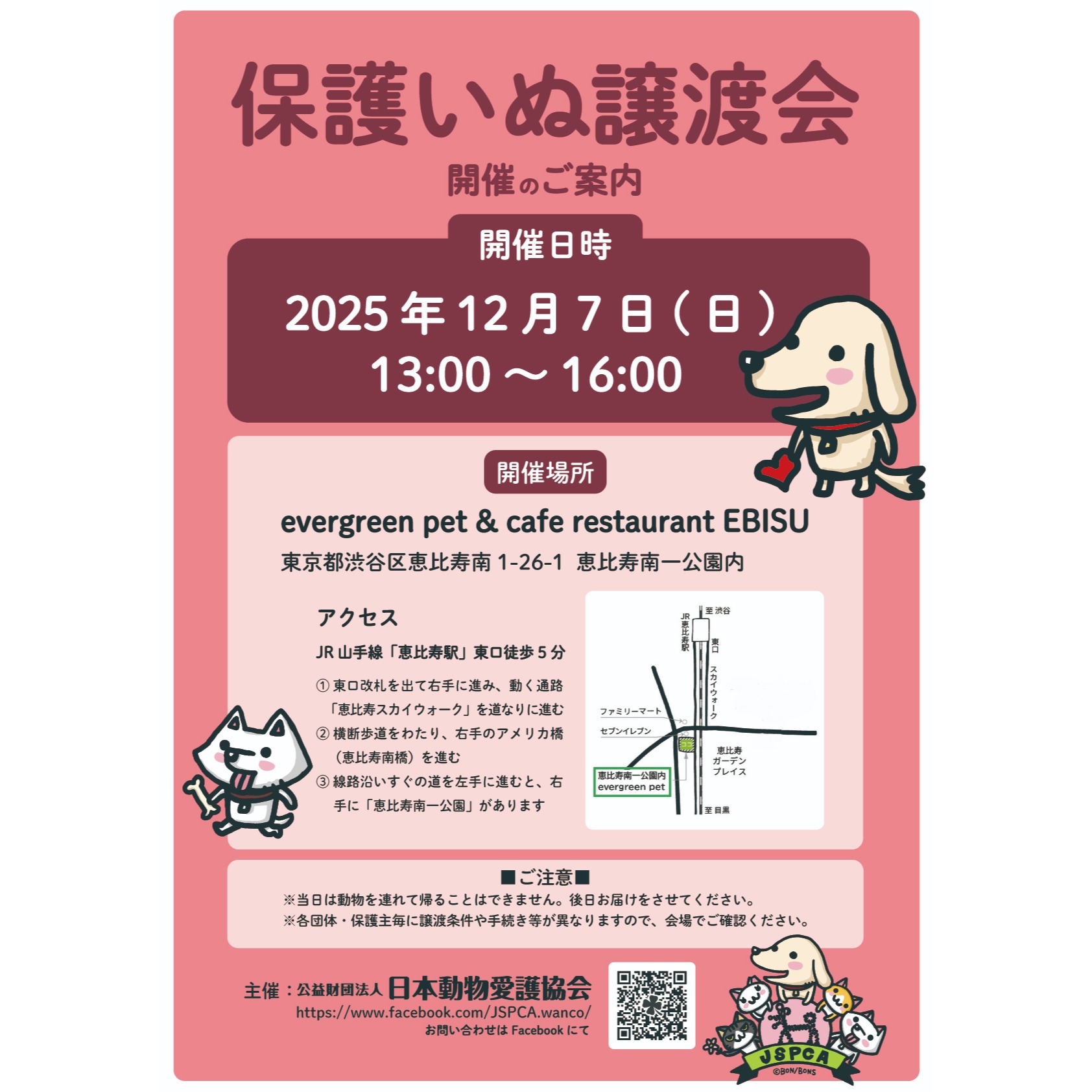 保護いぬ譲渡会＠恵比寿