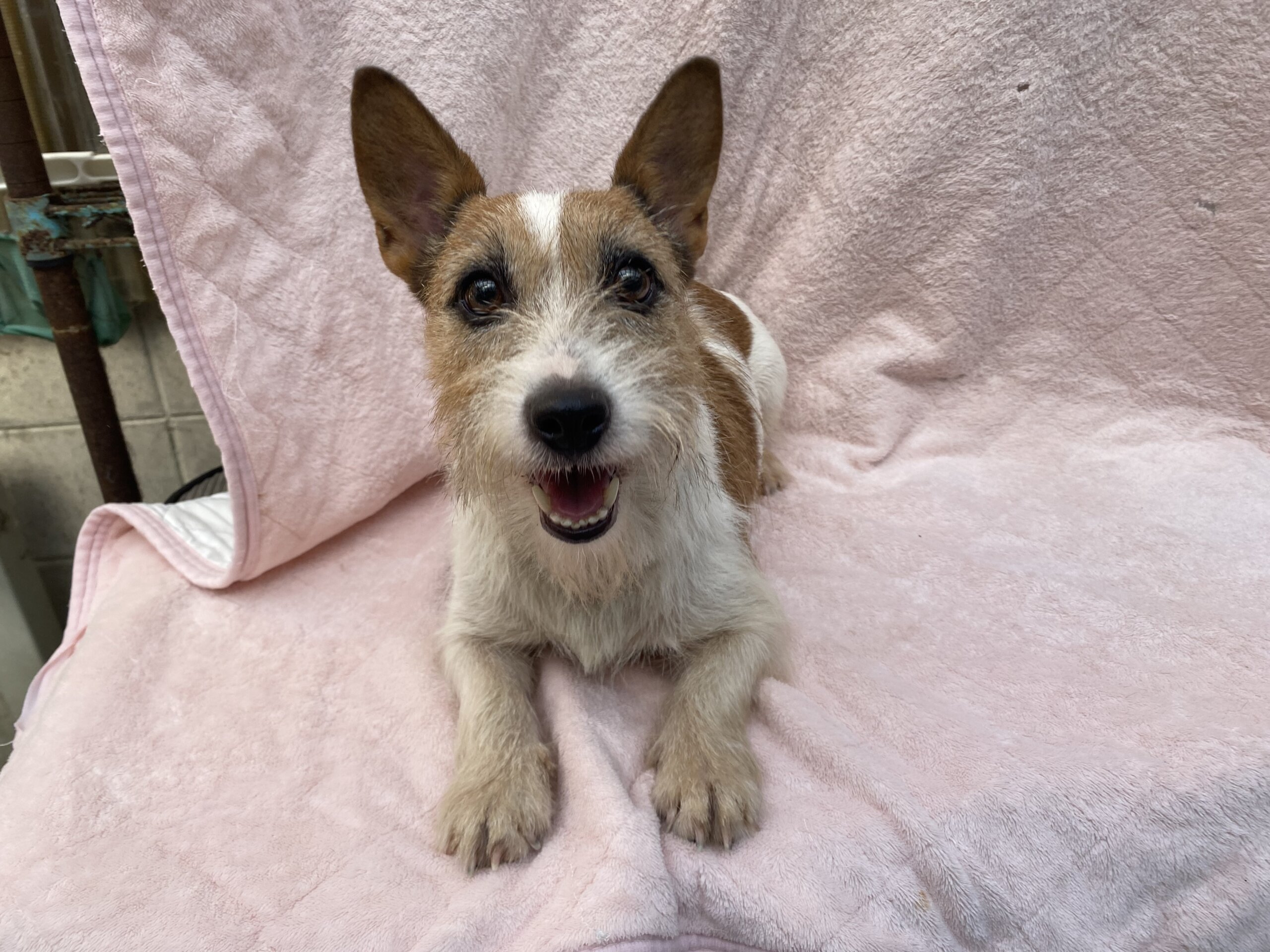 ジャック女の子のララちゃん❤️