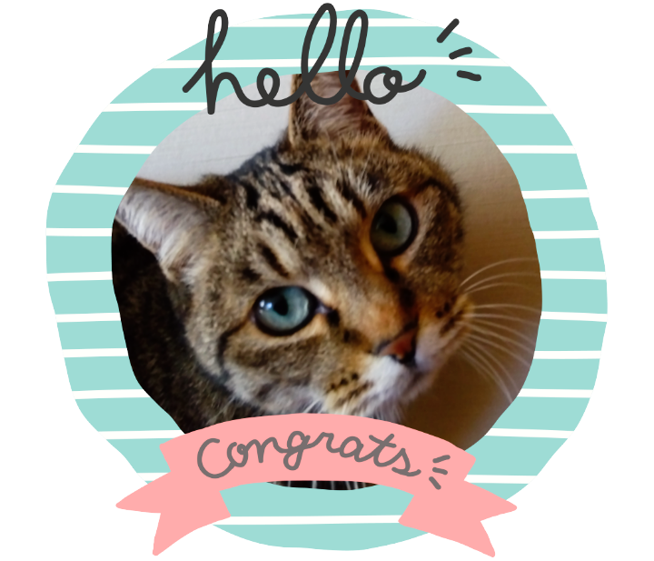 11才キジトラ女の子