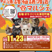 百町保護猫譲渡会＆マルシェ