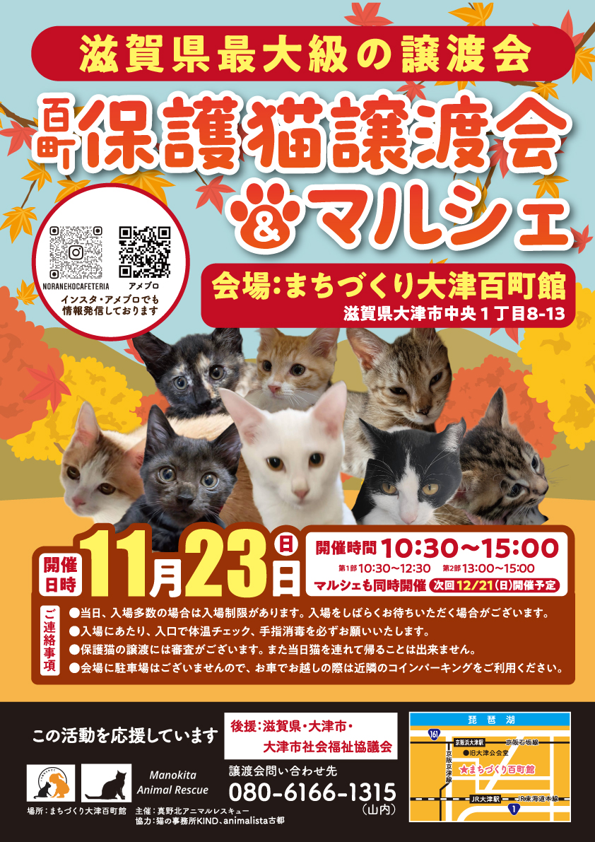 百町保護猫譲渡会＆マルシェ