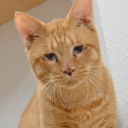 茶太郎：人とご飯が大好き！