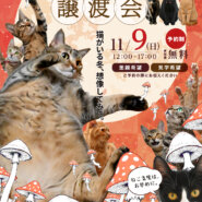 ふれあえる譲渡会 in 大阪市（見学だけでもOK！）