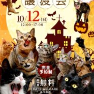 ふれあえる譲渡会 in大阪市