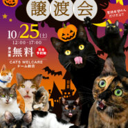 ふれあえる譲渡会　in大阪市