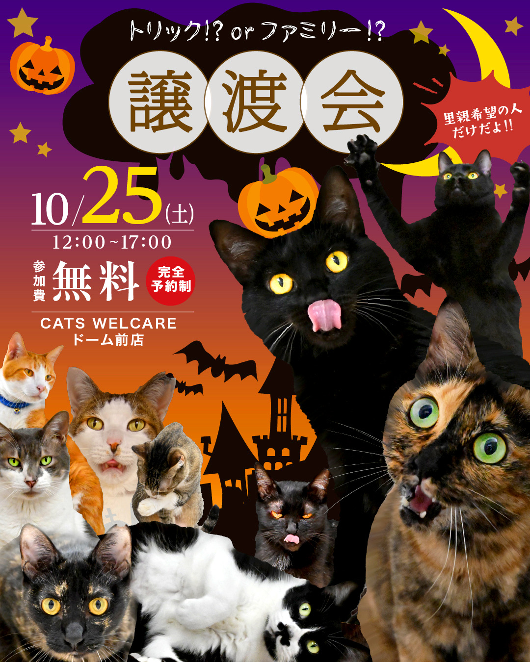 ふれあえる譲渡会　in大阪市