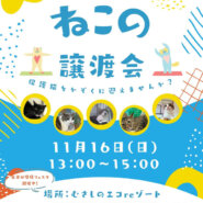 むさしの地域猫の会　譲渡会