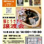 第34回特別企画「ねことうさぎの譲渡会」平野ろまねこ会