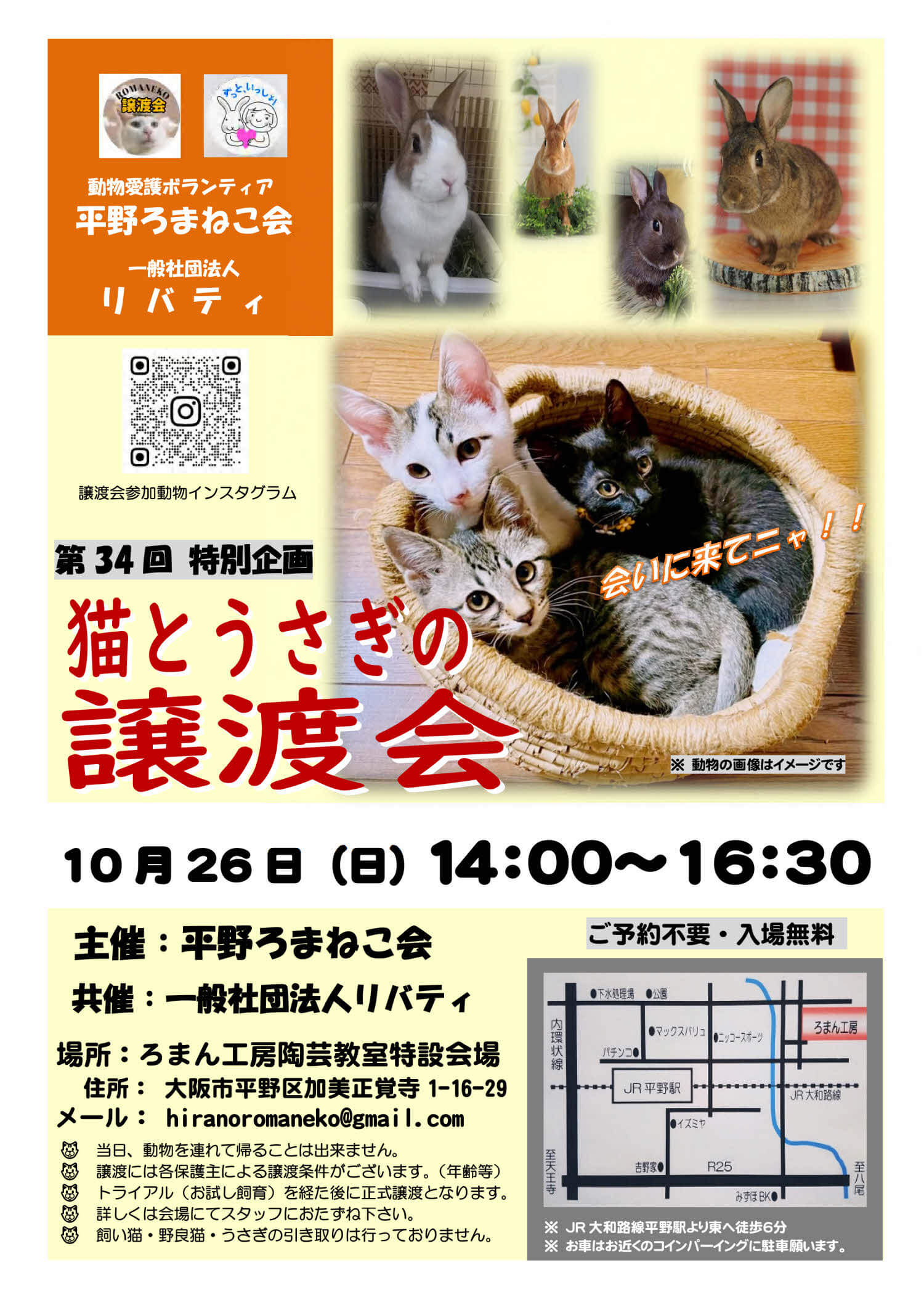 第34回特別企画「ねことうさぎの譲渡会」平野ろまねこ会