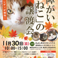 障がいねこ20匹の譲渡会★みよし市【参加猫決定】