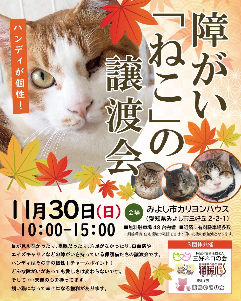 障がいねこ20匹の譲渡会★みよし市【参加猫決定】