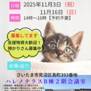 【さいたま市見沼区】11/3（祝）ハレノテラス保護猫譲渡会