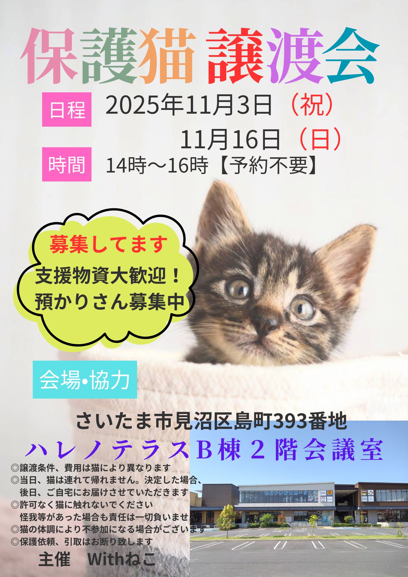 【さいたま市見沼区】11/3（祝）ハレノテラス保護猫譲渡会