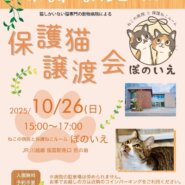 【さいたま市西区】10/26（日)猫専門病院「ぽのいえ」保護猫譲渡会