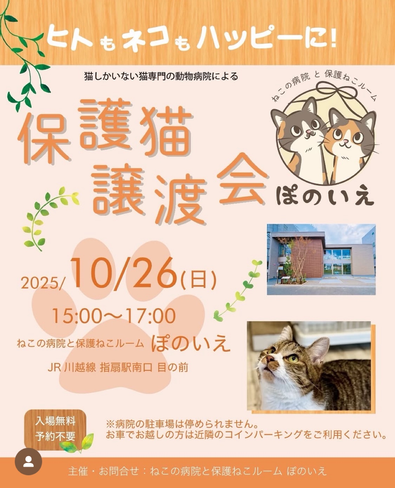 【さいたま市西区】10/26（日)猫専門病院「ぽのいえ」保護猫譲渡会