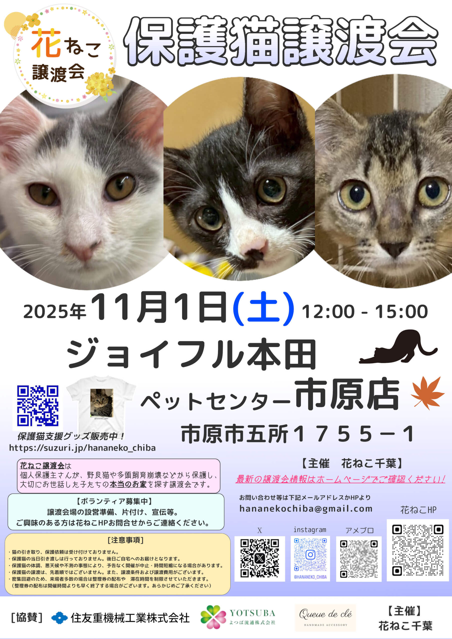 花ねこ譲渡会