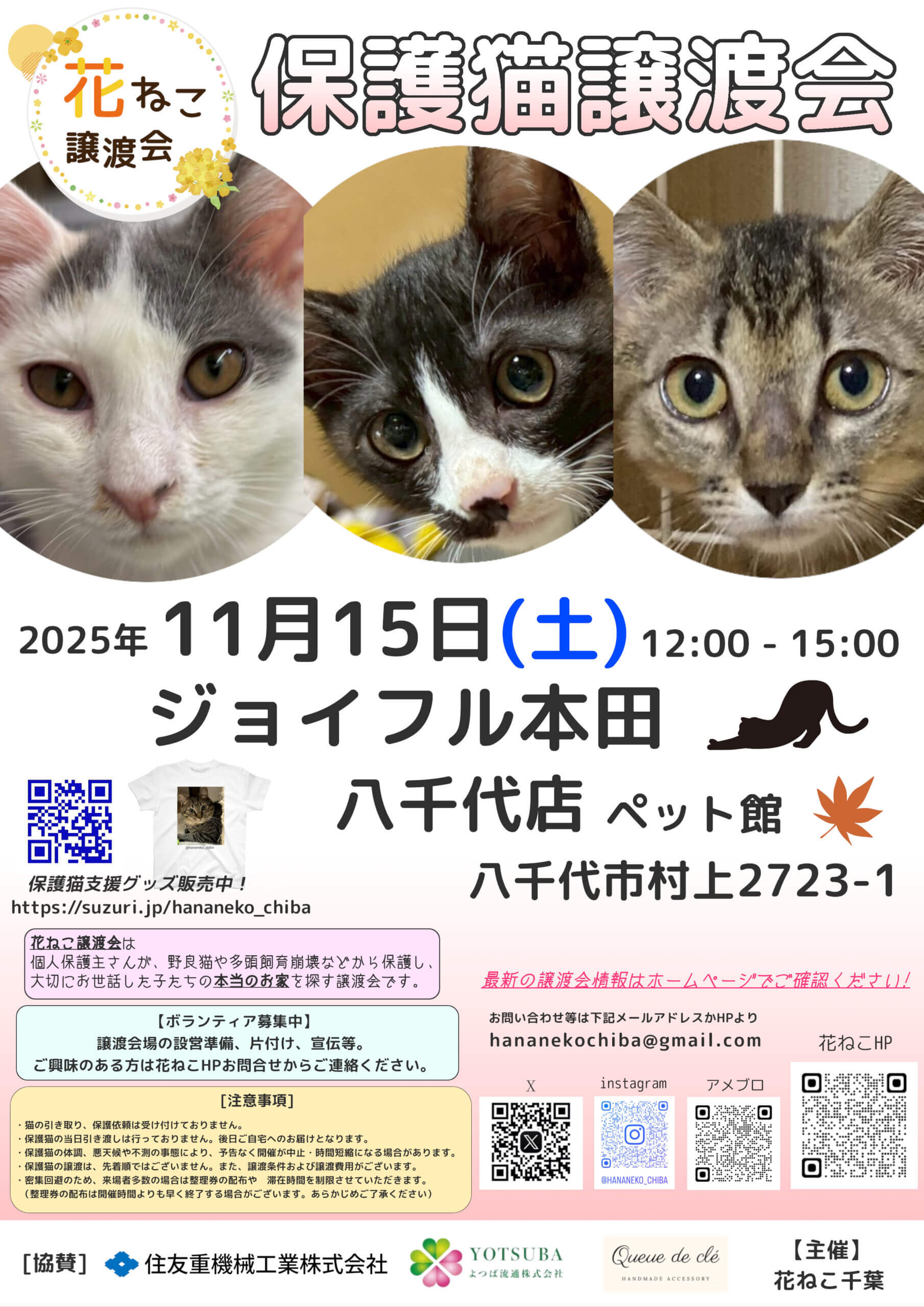 花ねこ譲渡会