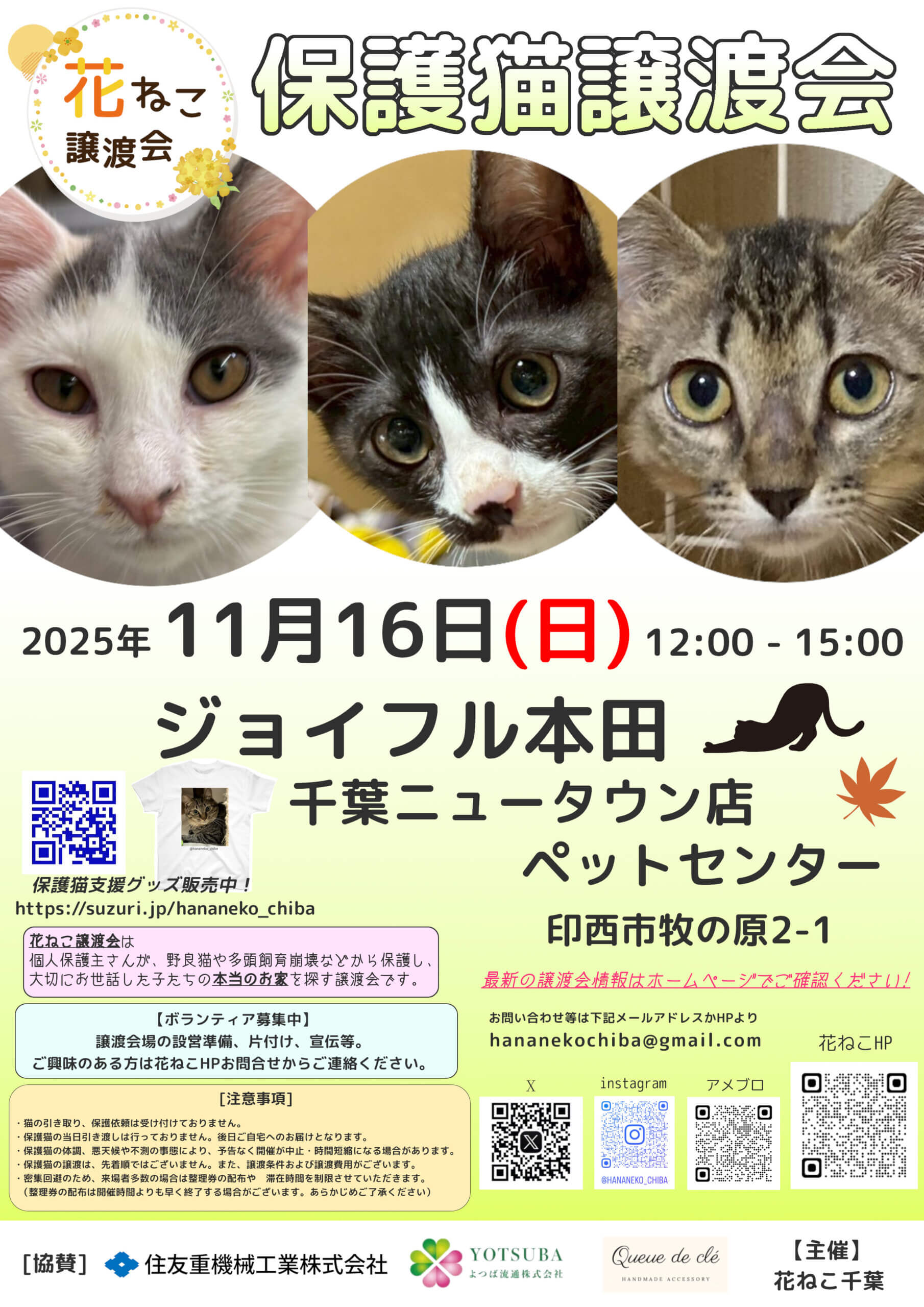 花ねこ譲渡会