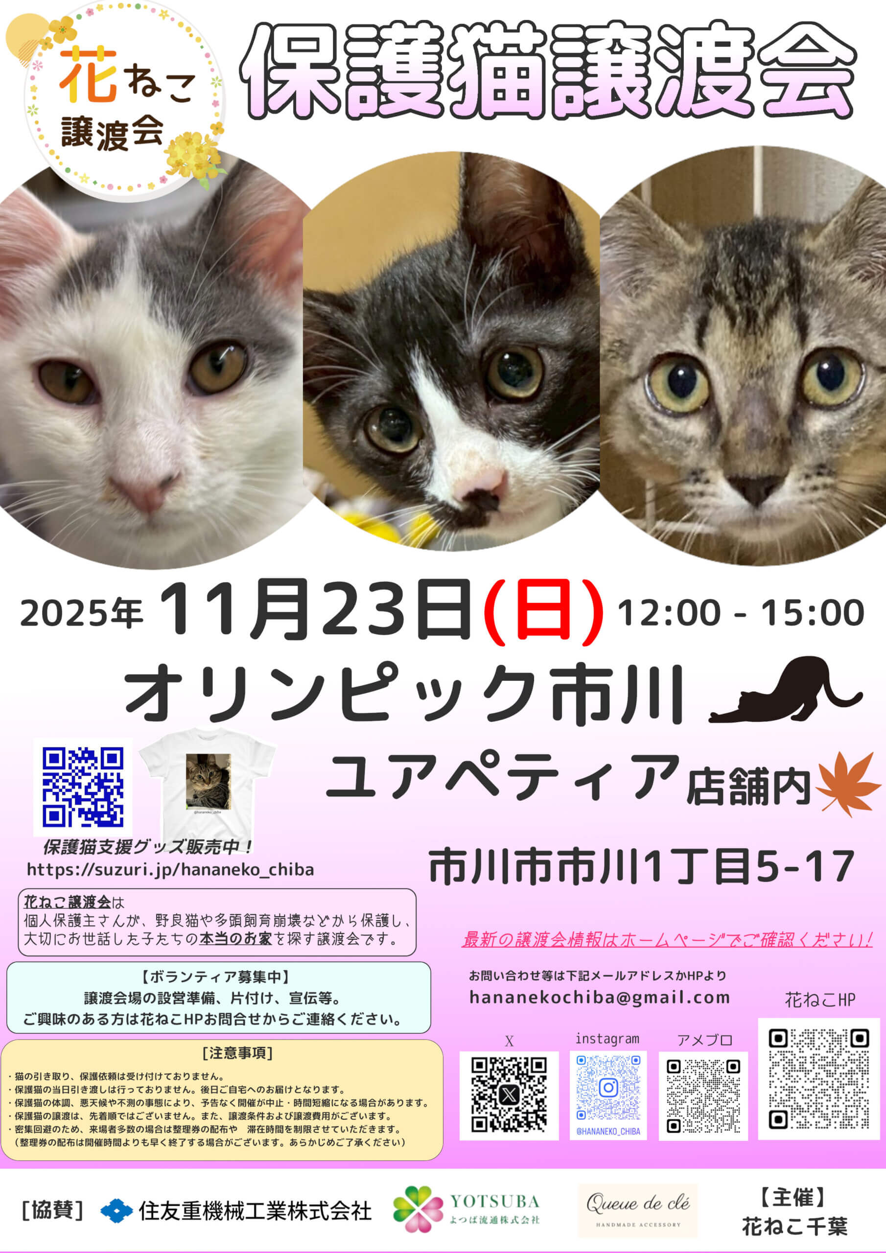 花ねこ譲渡会