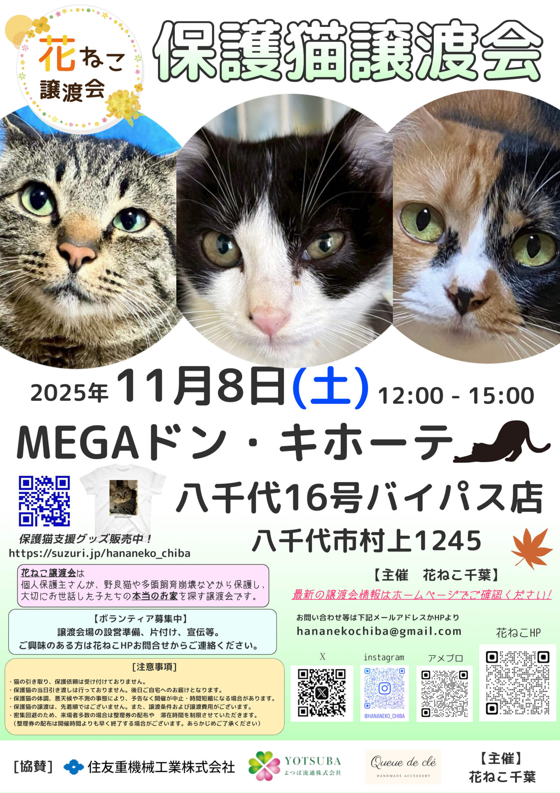 花ねこ譲渡会