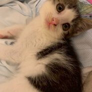 紅一点のヒメちゃん♡