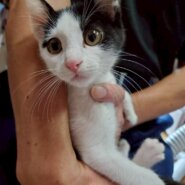 元気いっぱいなリョウくん