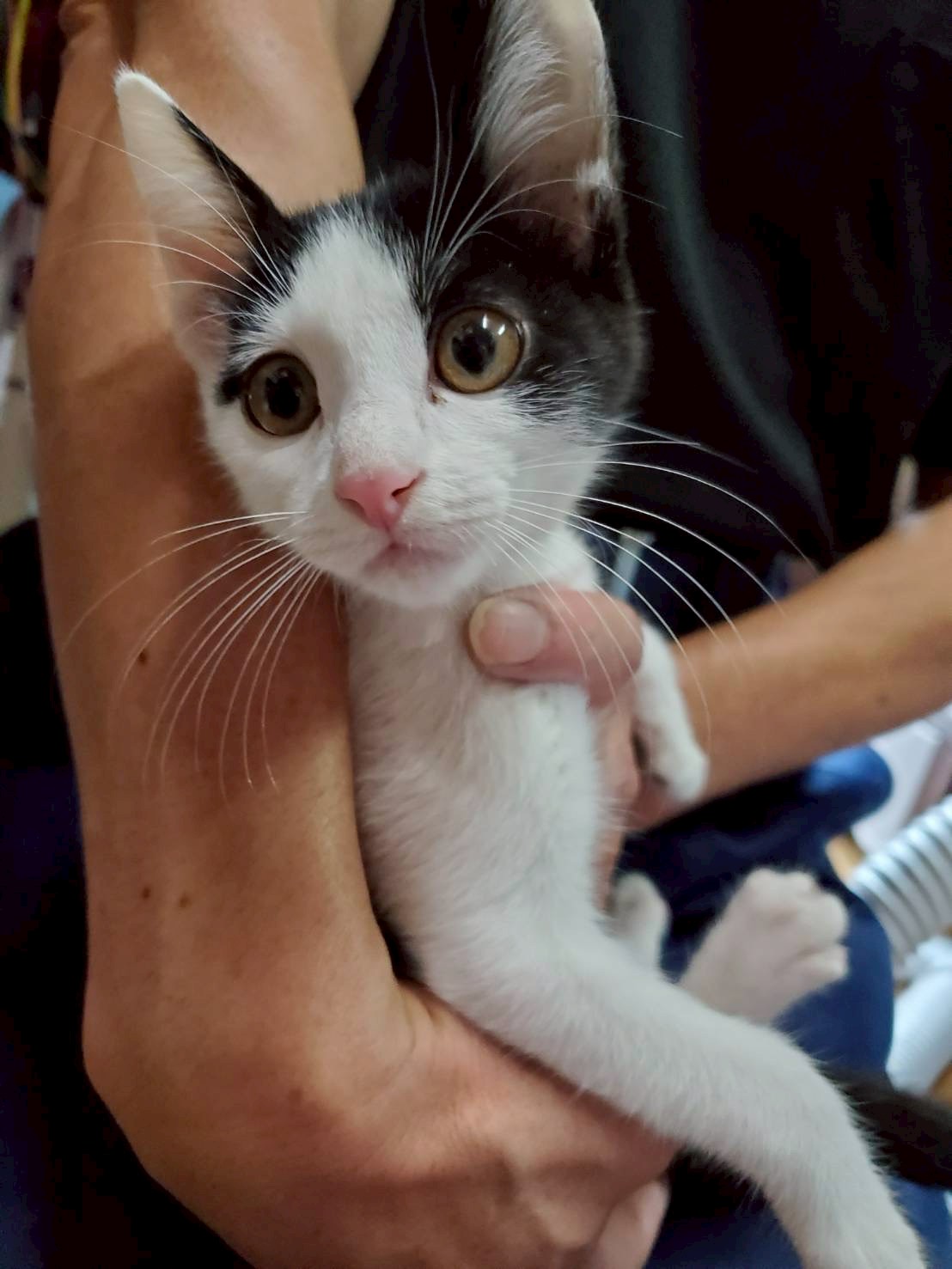 元気いっぱいなリョウくん