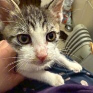 リーダータイプの水城くん！！