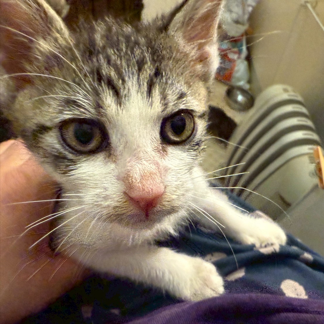 リーダータイプの水城くん！！