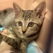 食いしん坊の桃花ちゃん！