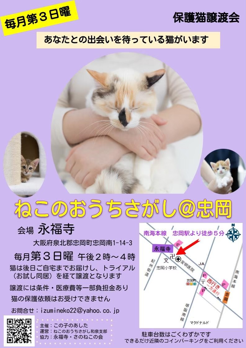 第46回ねこのおうちさがし@忠岡