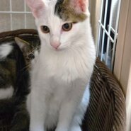 生後4～5カ月のやんちゃ坊主