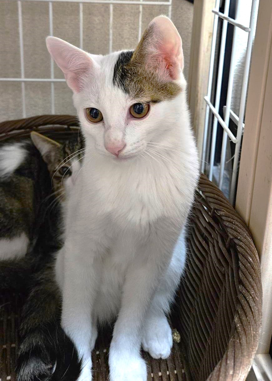 生後4～5カ月のやんちゃ坊主