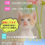 【さいたま市見沼区】12/21(日)ハレノテラス保護猫譲渡会