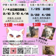 猫の里親会in名張❣