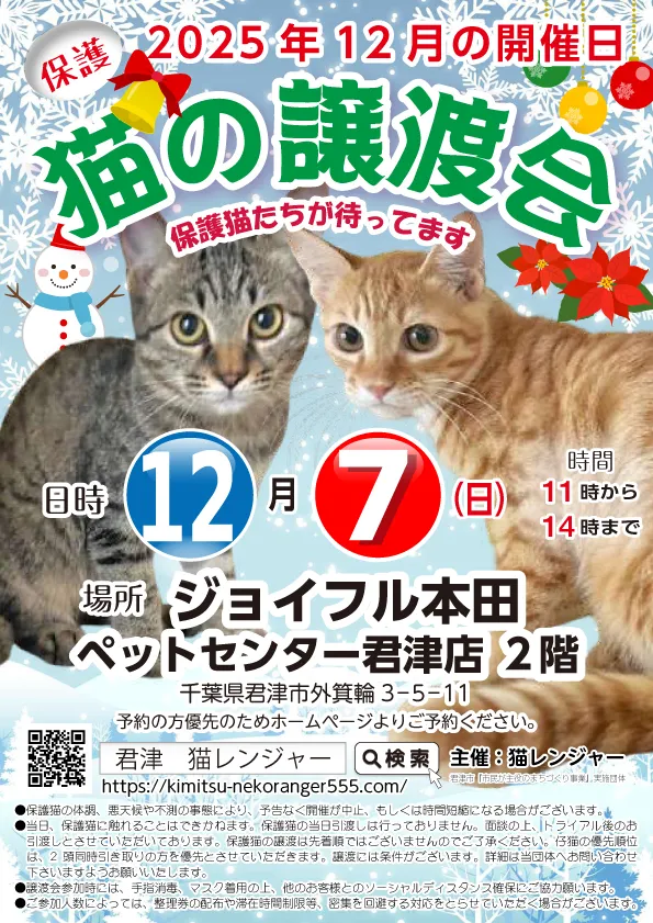 【君津市】保護、猫の譲渡会