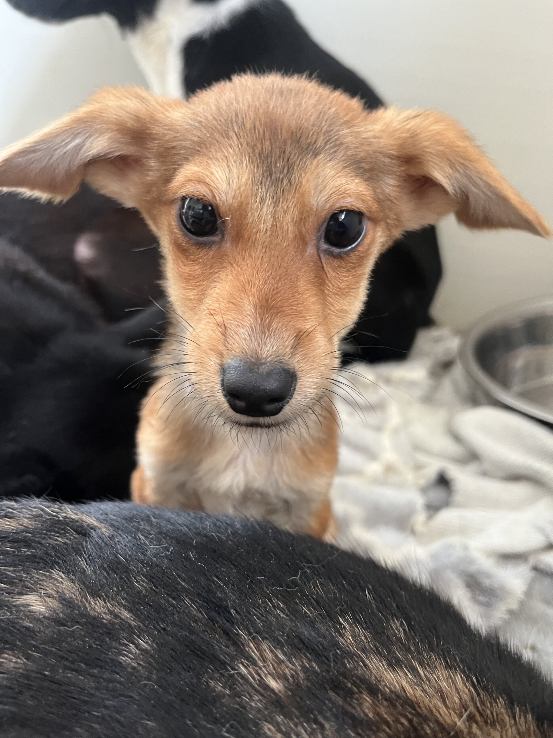 生後3ヶ月くらいの可愛い男の子