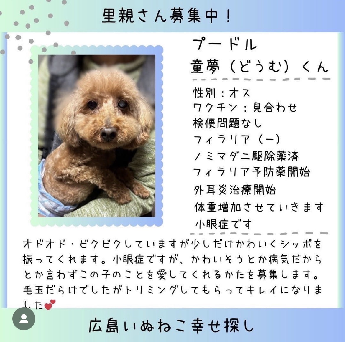 童夢(どうむ)君