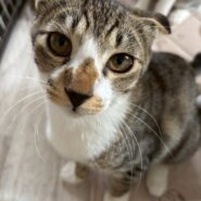 探検好きなエナくん