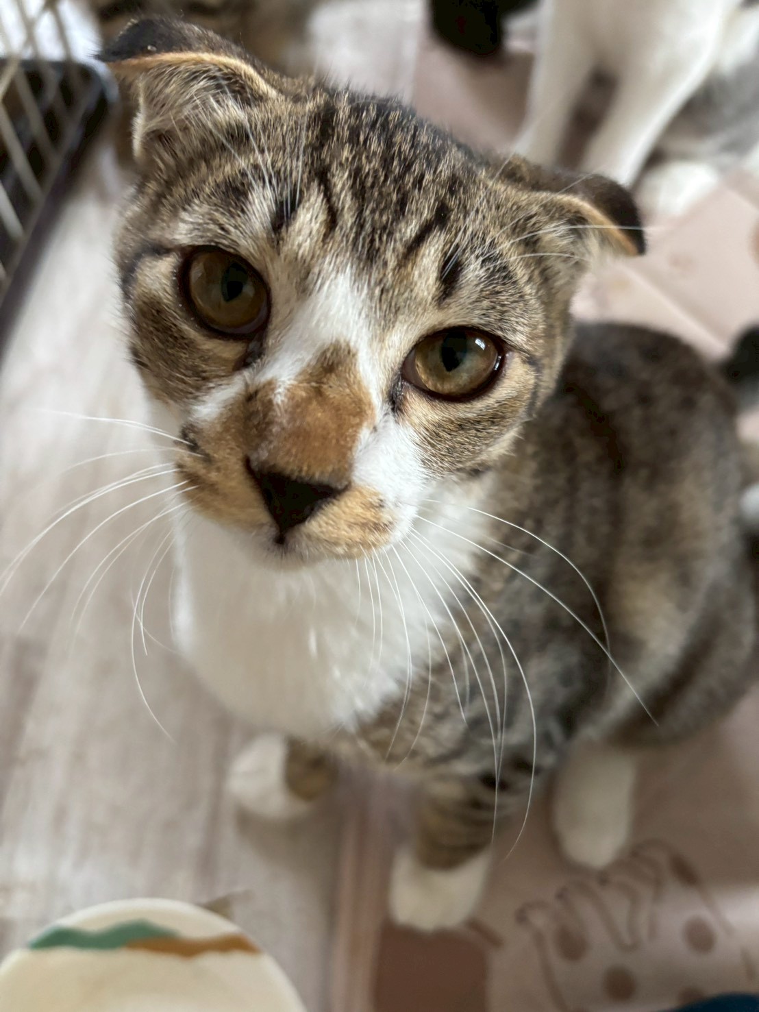 探検好きなエナくん