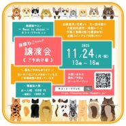 ネコトクラッセ譲渡会