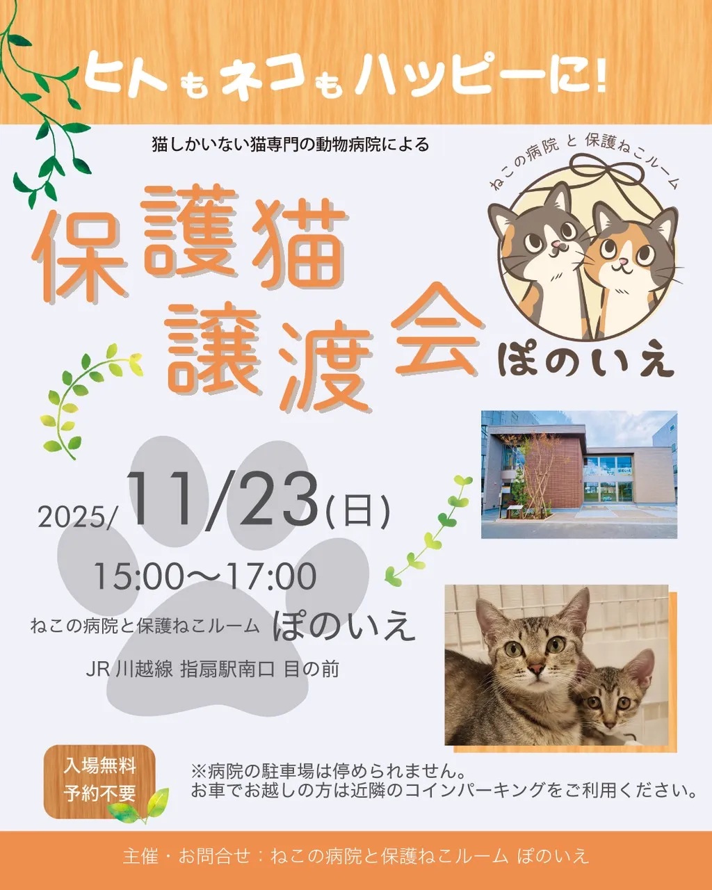 【さいたま市西区】11/23(日)さいたま市西区ぽのいえ保護猫譲渡会