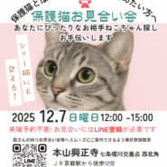 2025年12月7日(日)12：00-