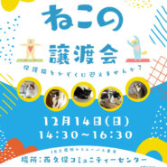 むさしの地域猫の会　譲渡会