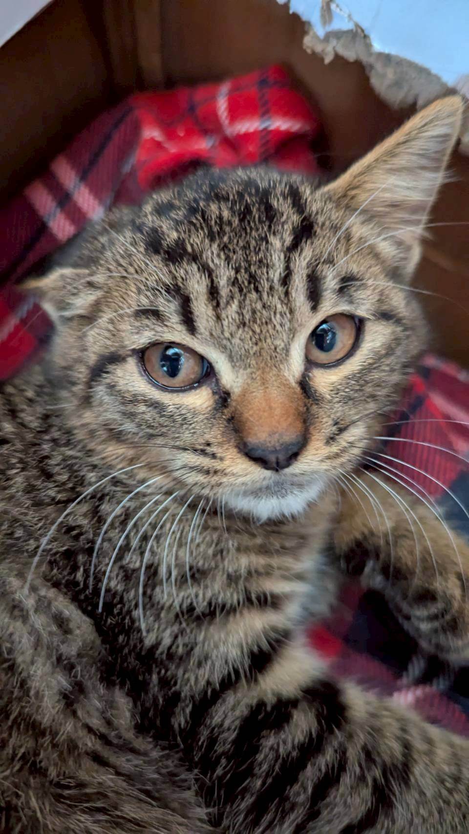 兄妹二人で寄り添ってきた♡ウーちゃん