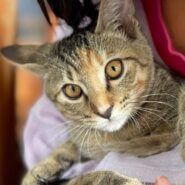 人が大好き！無邪気でお茶目なミミちゃん