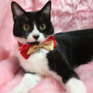 初心者にオススメ！なれなれ『おたま』６カ月