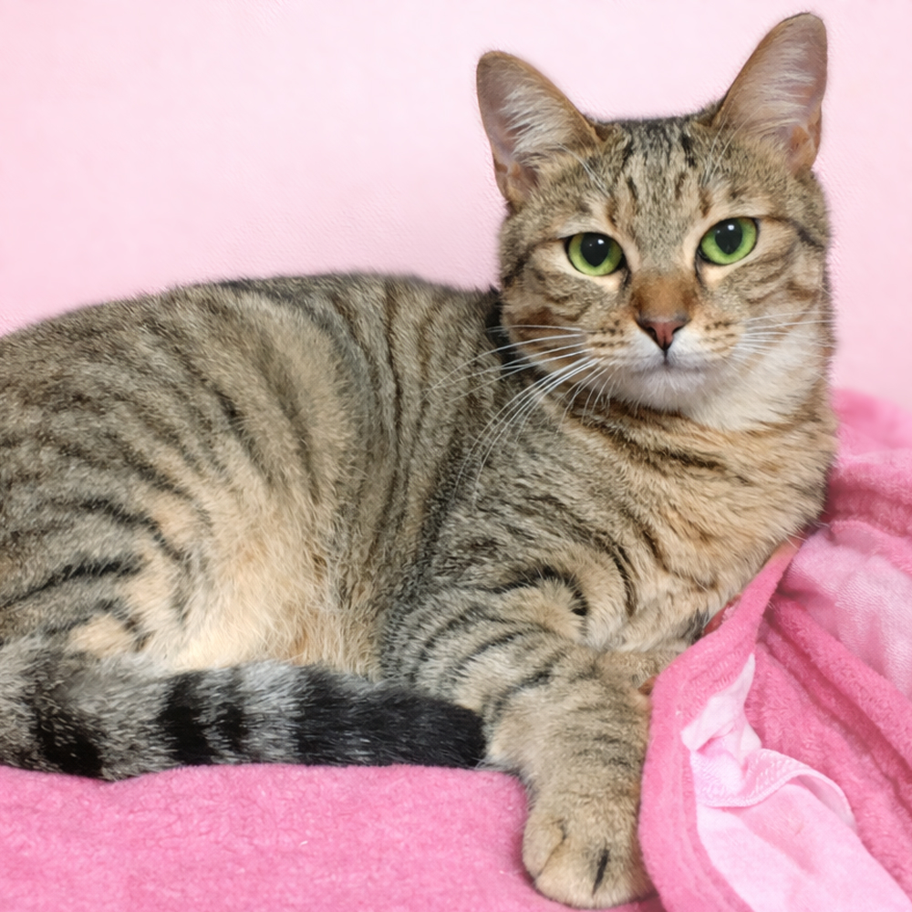 誰とでも仲良し『かりんちゃん』１歳