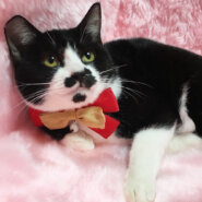 ちょびヒゲだけど女の子『おかゆ』６カ月